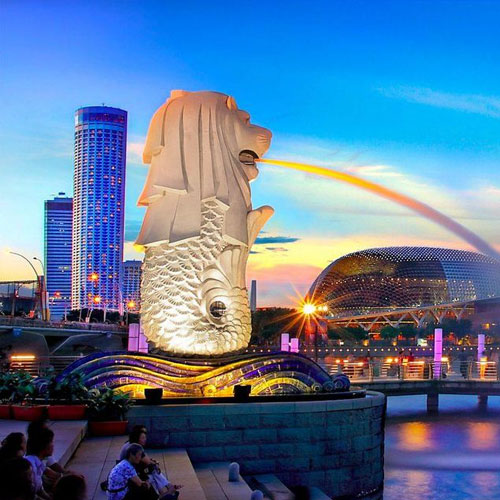 singapore tour offers